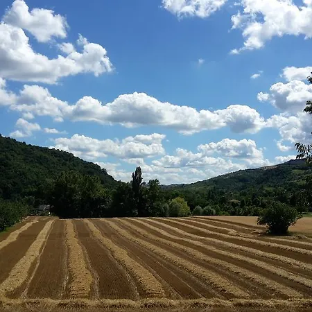 アパート Elena Paternoster *