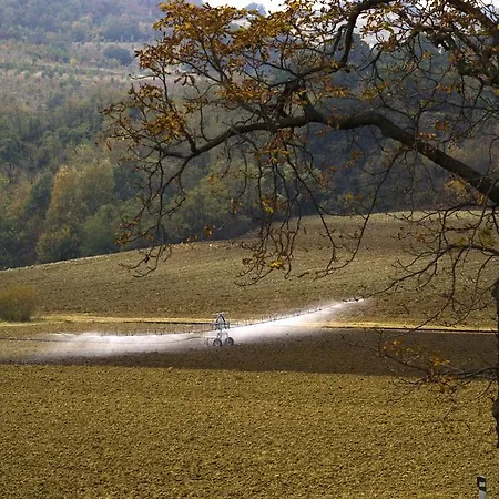Elena Paternoster アパート サン・ラッザロ・ディ・サーヴェナ