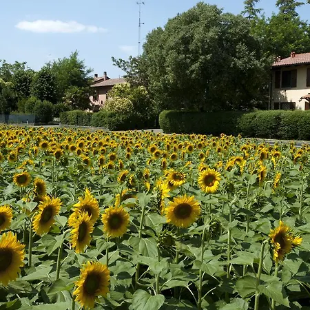 アパート Elena Paternoster サン・ラッザロ・ディ・サーヴェナ