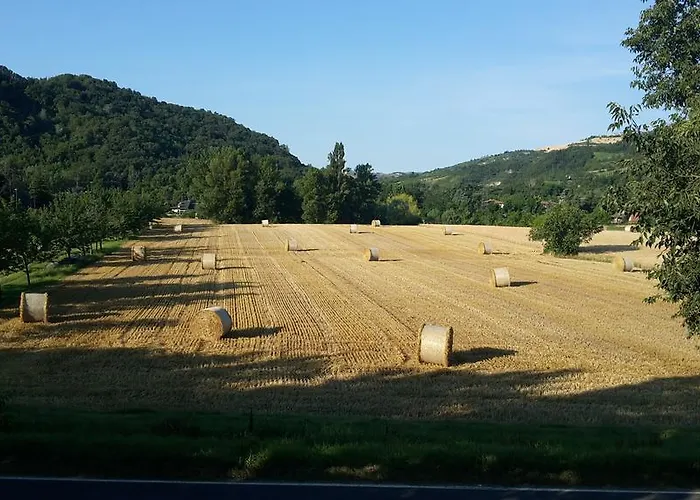 Elena Paternoster * San Lazzaro di Savena
