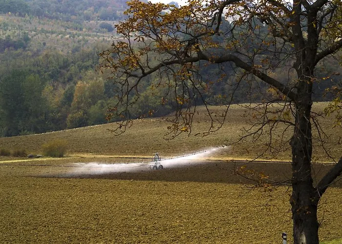 Elena Paternoster Apartman San Lazzaro di Savena