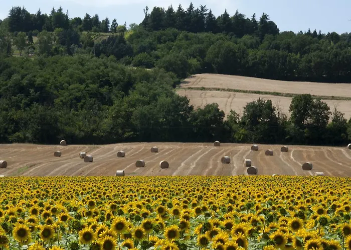 Elena Paternoster San Lazzaro di Savena