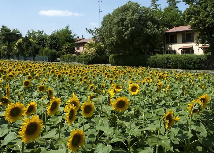 Appartement Elena Paternoster San Lazzaro di Savena