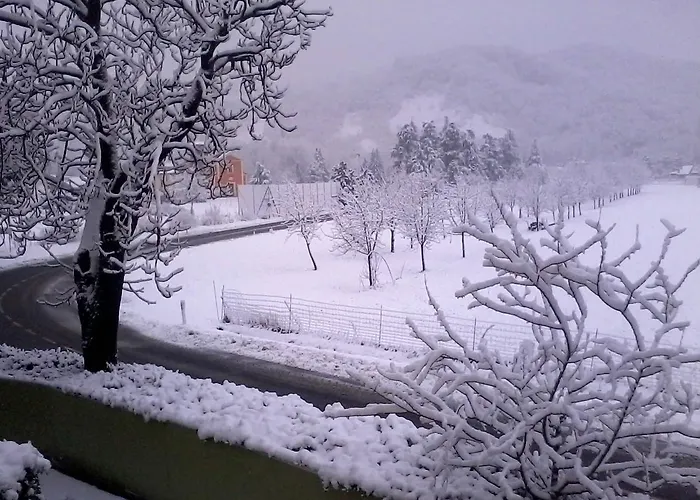 Elena Paternoster Appartement